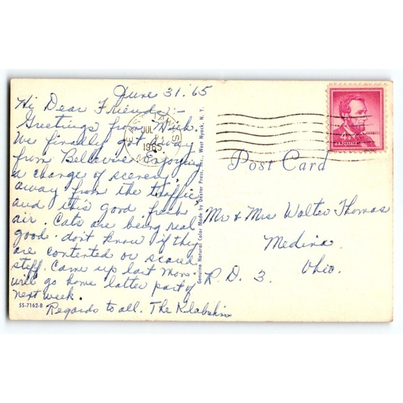 Kittens Cats In Basket Postcard Chrome 1965 Greeting From East Tawas Michigan - Picture 2 of 2